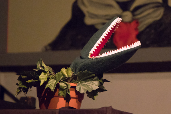 Photo Coverage: First look at Wagnalls Community Theater Presents THE ADDAMS FAMILY – THE MUSICAL Image