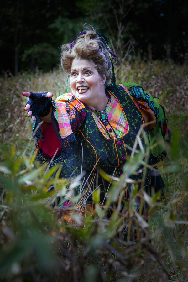 Photo Flash: First Look at Pittsburgh Opera's HANSEL & GRETEL Image