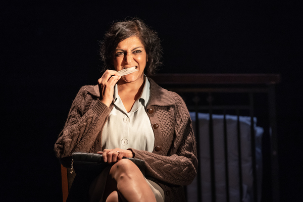 Photo Flash: First Look at PINTER THREE Image