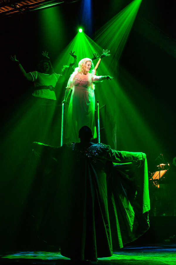 Photo Flash: First Look At Megan Hilty, Josh Radnor, and More in LITTLE SHOP OF HORRORS Image