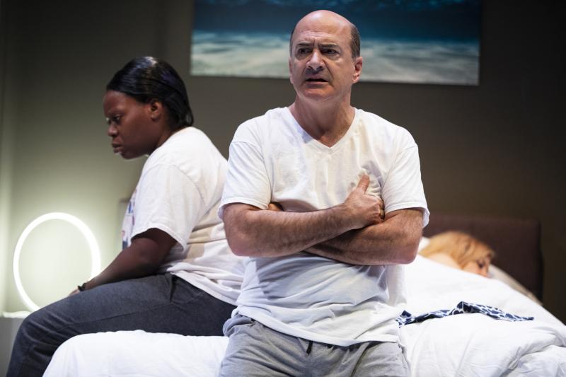 Review: The Flea Presents the World Premiere of Solondz's EMMA AND MAX  Image