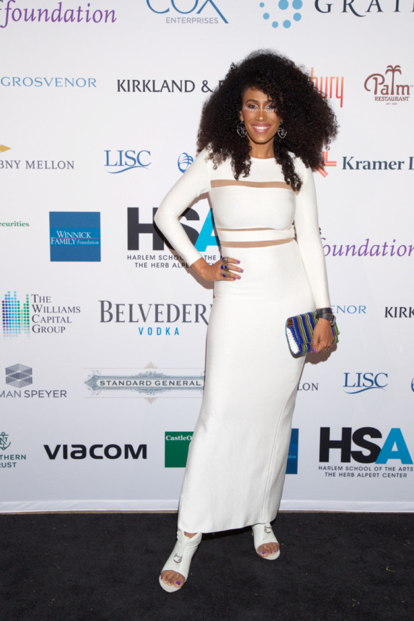 Photo Flash: Harlem School Of The Arts Masquerade Ball Tops A Million In Contributions For The Second Straight Year 