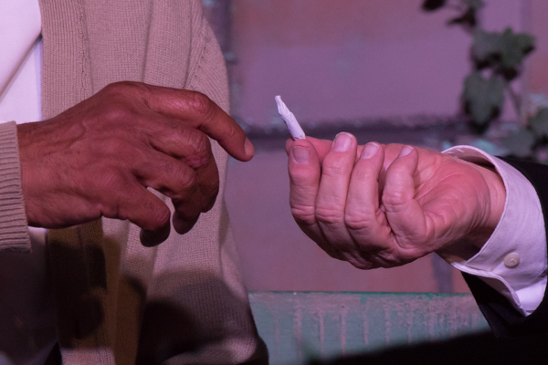 Photo Coverage: First look at Bruce Jacklin & Co's I'M NOT RAPPAPORT Image