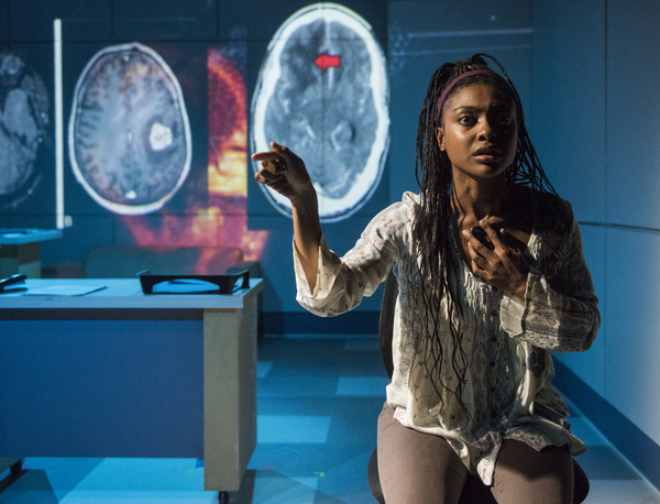 Photo Flash: Rivendell Theatre Ensemble Presents World Premiere of SCIENTIFIC METHOD Image