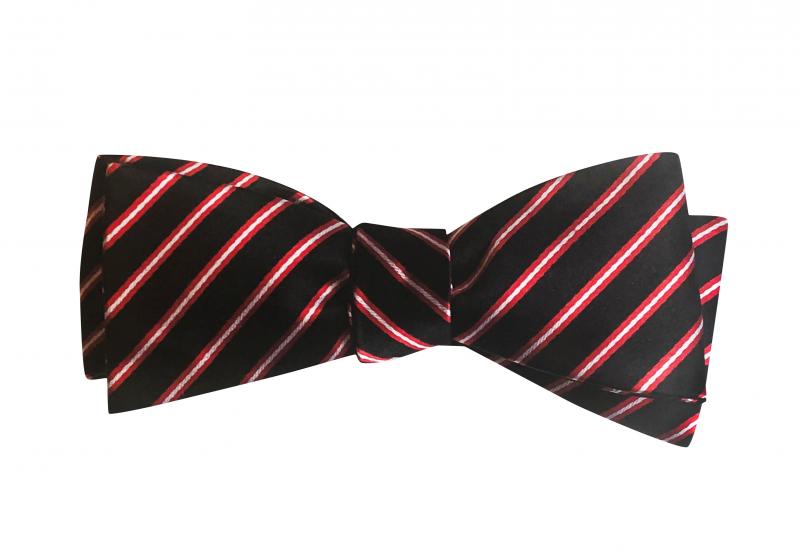 Michael Urie Designs Special TORCH SONG Bow Tie for Jesse Tyler Ferguson's Charity Image
