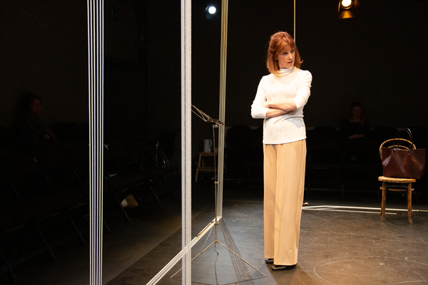 Photo Flash: First Look at A PUPIL at Park Theatre Image