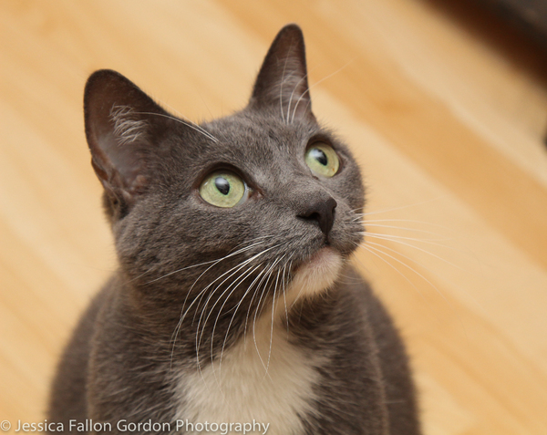 Tails of Broadway: Greg Hildreth Curls Up with Pigeon and Basil! Image
