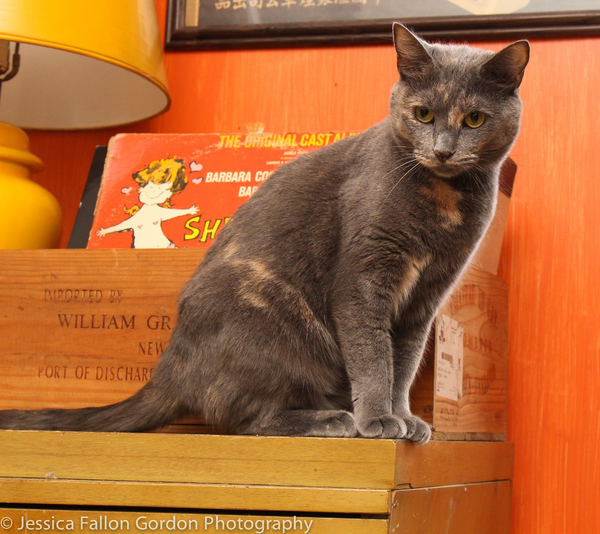 Tails of Broadway: Greg Hildreth Curls Up with Pigeon and Basil! Image