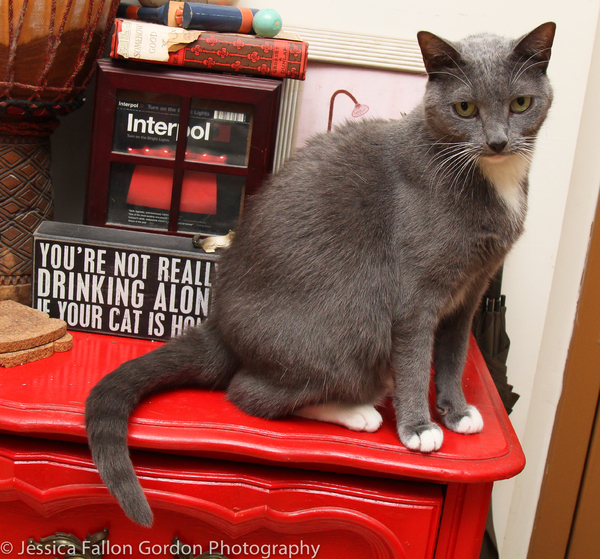 Tails of Broadway: Greg Hildreth Curls Up with Pigeon and Basil! Image