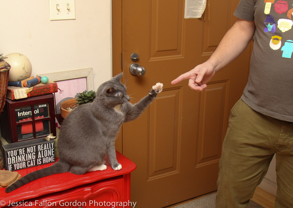 Tails of Broadway: Greg Hildreth Curls Up with Pigeon and Basil! Image