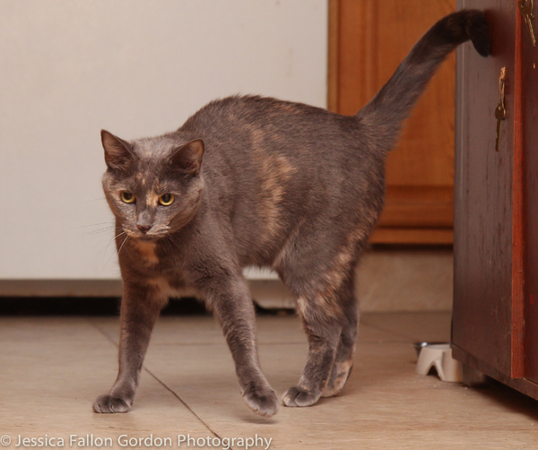 Tails of Broadway: Greg Hildreth Curls Up with Pigeon and Basil! Image