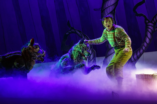 Photo Flash: Pittsburgh Opera Continues 80th Season With HANSEL & GRETEL Image