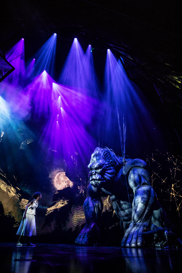 Photo Flash: Check Out All New Photos of Christiani Pitts and the Puppet in KING KONG Image