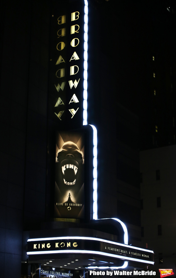 Photo Coverage: The Cast of KING KONG Takes Their Opening Night Bows Image