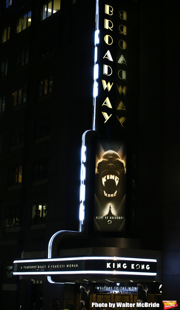 Photo Coverage: The Cast of KING KONG Takes Their Opening Night Bows Image