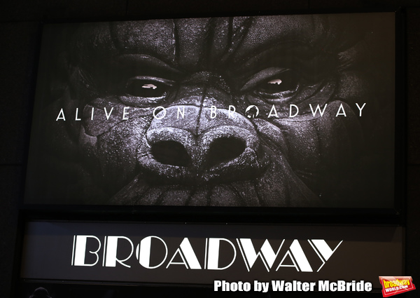 Photo Coverage: The Cast of KING KONG Takes Their Opening Night Bows Image