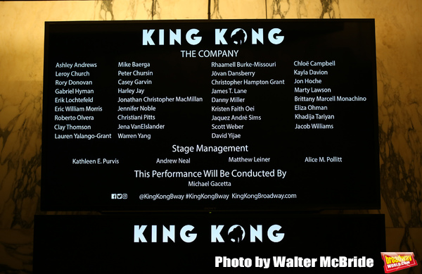 Photo Coverage: The Cast of KING KONG Takes Their Opening Night Bows Image