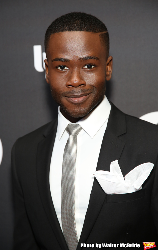 Photo Coverage: On the Red Carpet at Opening Night of KING KONG Image