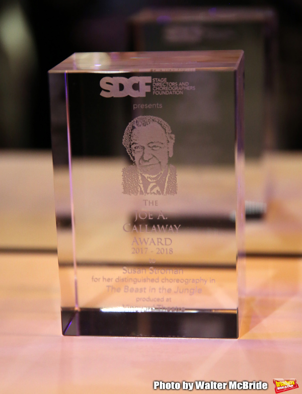 Photo Coverage: Inside the Cocktail Party at the Second Annual SDCF Awards Image