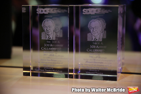 Photo Coverage: Inside the Cocktail Party at the Second Annual SDCF Awards 