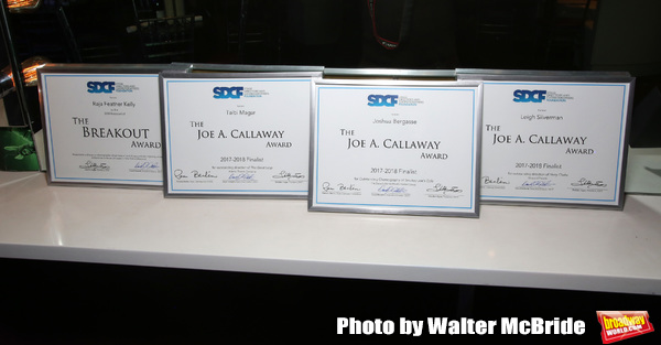 Photo Coverage: Inside the Cocktail Party at the Second Annual SDCF Awards Image