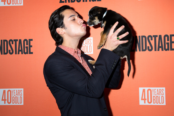 Photo Coverage: Broadway Snuggles Up with Puppies at Second Stage Benefit, Honoring Harvey Fierstein! Image