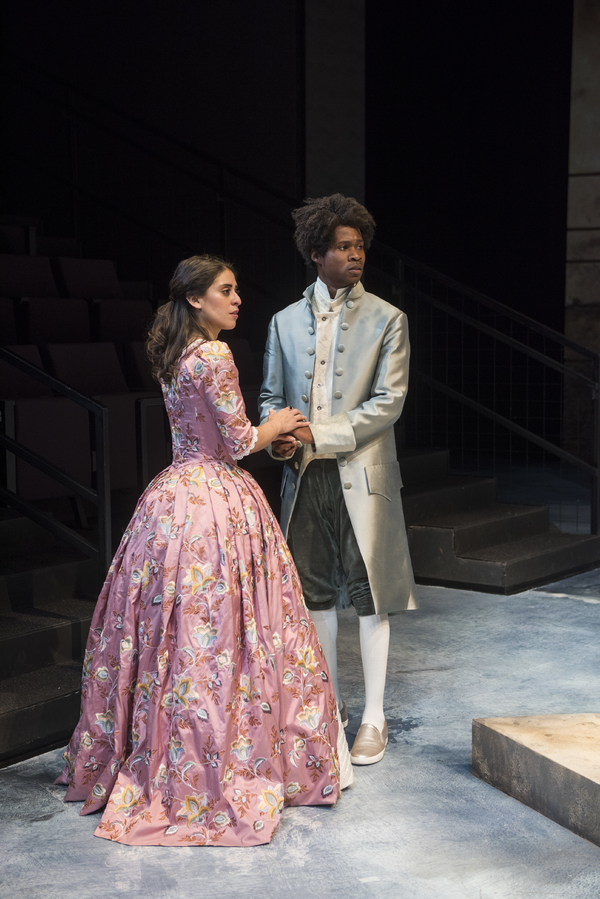 Photo Flash: Shakespeare's TWELFTH NIGHT Opens This Week at Writers Theatre Image