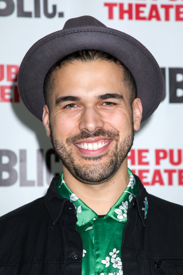 Photo Coverage: Inside Opening Night of The Public's WILD GOOSE DREAMS Image