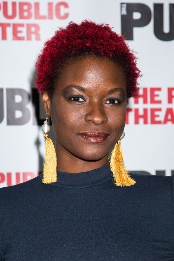 Photo Coverage: Inside Opening Night of The Public's WILD GOOSE DREAMS Image
