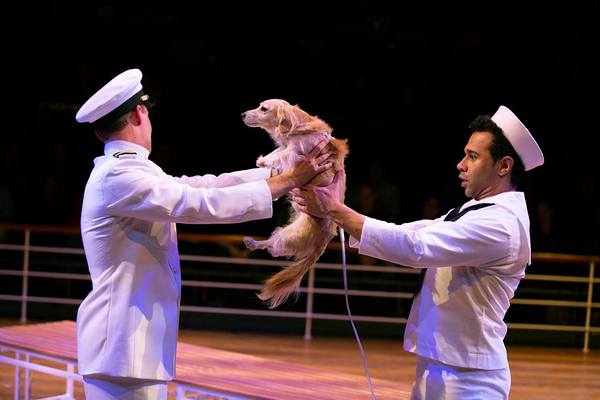 Photo Flash: First Look At Corbin Bleu in ANYTHING GOES at Arena Stage Image