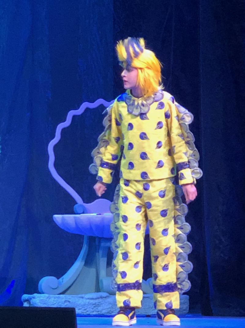 Review: THE LITTLE MERMAID at Grand Rapids Civic Theatre, Invites You to Come and Be Part of Their World! 