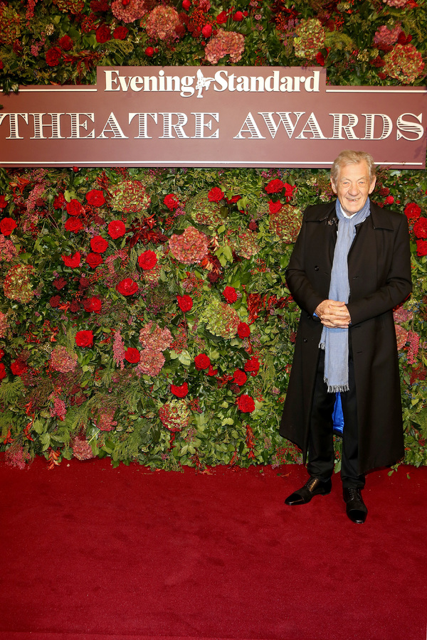 Photo Flash: On the Red Carpet at the 2018 Evening Standard Awards 