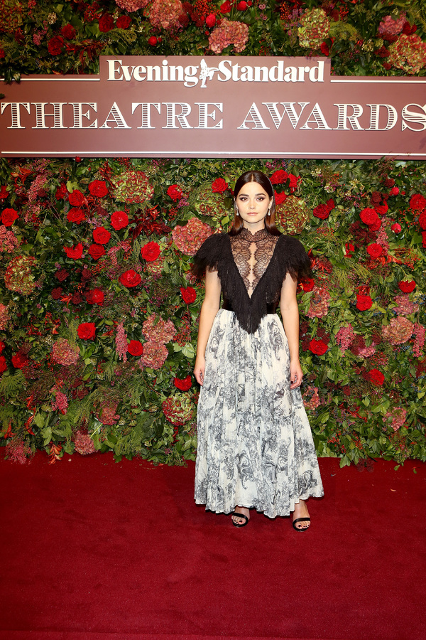 Photo Flash: On the Red Carpet at the 2018 Evening Standard Awards 