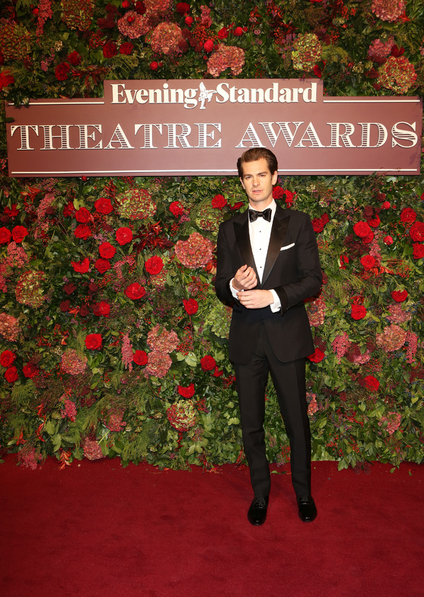 Photo Flash: On the Red Carpet at the 2018 Evening Standard Awards Image