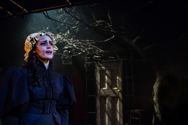 Photo Flash: First Look at Sink the Pink's HOW TO CATCH A KRAMPUS Image