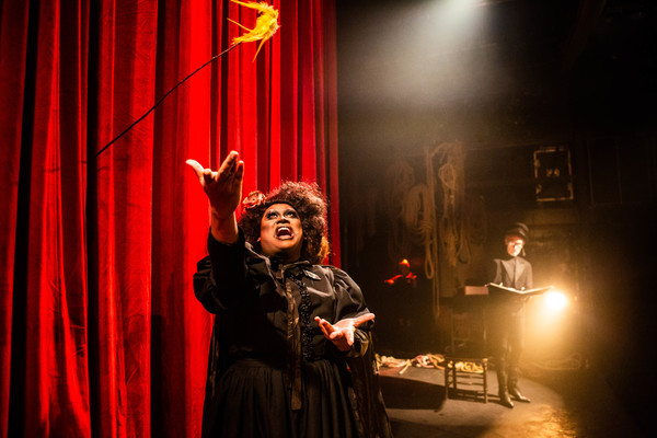 Photo Flash: First Look at Sink the Pink's HOW TO CATCH A KRAMPUS Image