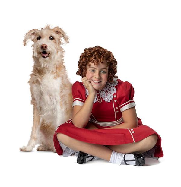 Photo Flash: Check Out Promotional Photos From 5th Avenue Theatre's ANNIE 