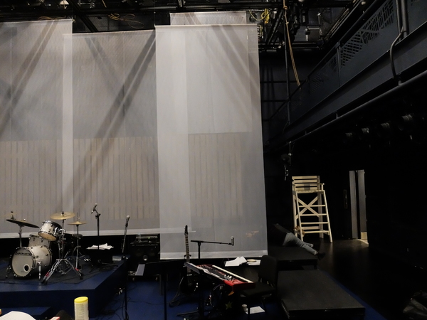 BWW Previews: THE GOOD SWIMMER World Premiere at BAM Fishman Space Image