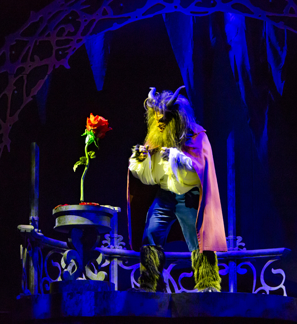 Photo Flash:  Disney's BEAUTY AND THE BEAST at the Maltz Jupiter Theatre 