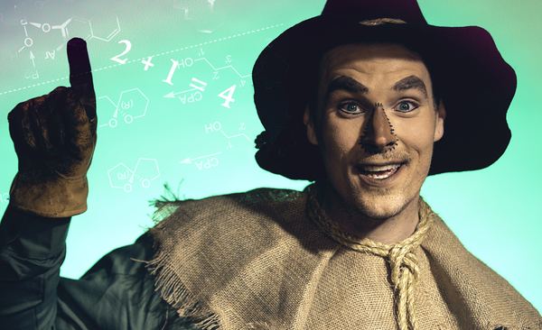 Photo Flash: Bainbridge Performing Arts Presents THE WIZARD OF OZ Image