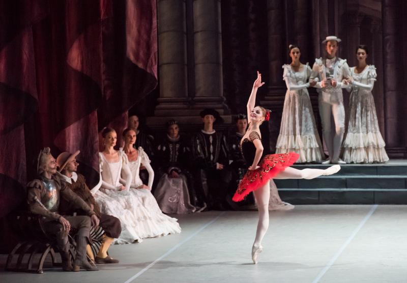 Review:  A PERFUNCTORY DON QUIXOTE BY MIKHAILOVSKY BALLET at Segerstrom Center For The Art 