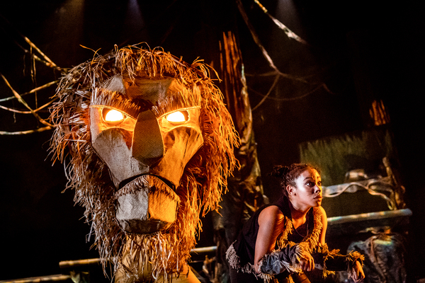 Photo Coverage: First Look at MY FATHER'S DRAGON at Synetic Theater Image