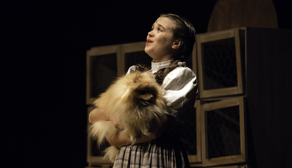 Photo Flash: Bainbridge Performing Arts (BPA) presents  THE WIZARD OF OZ Image