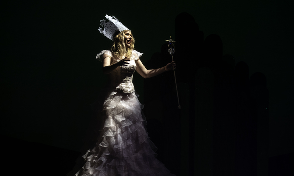 Photo Flash: Bainbridge Performing Arts (BPA) presents  THE WIZARD OF OZ Image