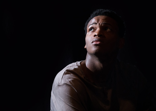 Photo Flash: First Look at TimeLine Theatre's CARDBOARD PIANO Image