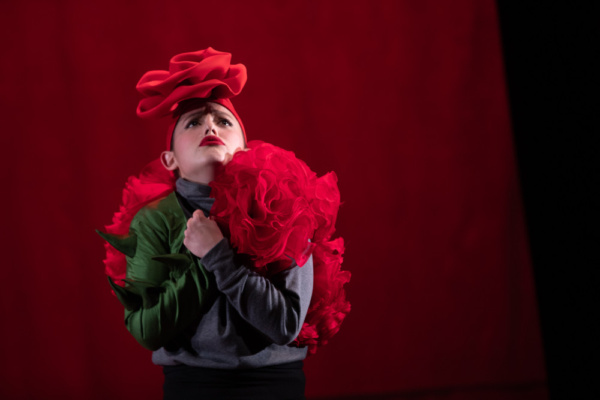 Photo Flash: First Look At Flint Repertory Theatre's THE LITTLE PRINCE Image