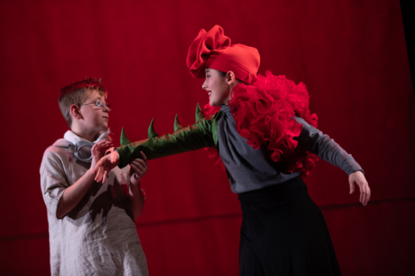 Photo Flash: First Look At Flint Repertory Theatre's THE LITTLE PRINCE Image