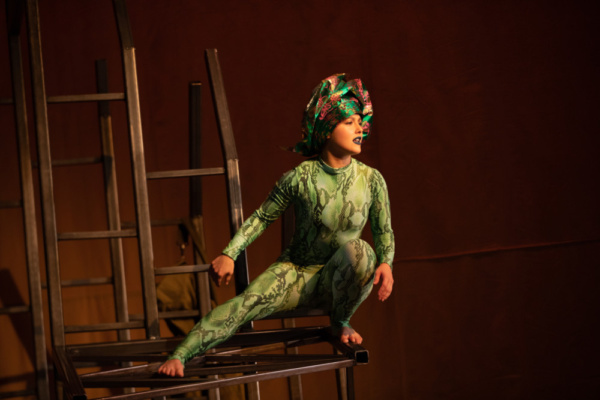 Photo Flash: First Look At Flint Repertory Theatre's THE LITTLE PRINCE Image