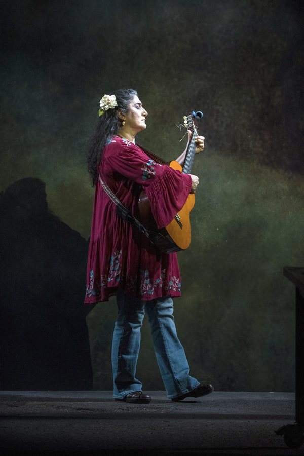 Photo Flash: First Look at Steppenwolf's LA RUTA Image