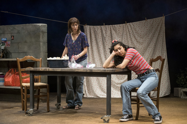 Photo Flash: First Look at Steppenwolf's LA RUTA Image